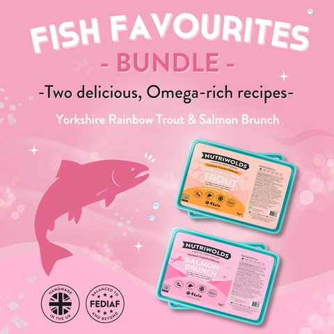 Fish Favourites Bundle- Salmon Brunch and Yorkshire Rainbow Trout