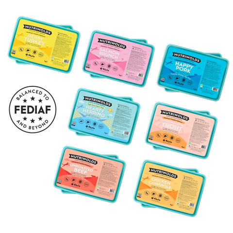 Nutriwolds Discovery Box – 8 Complete Raw Recipes